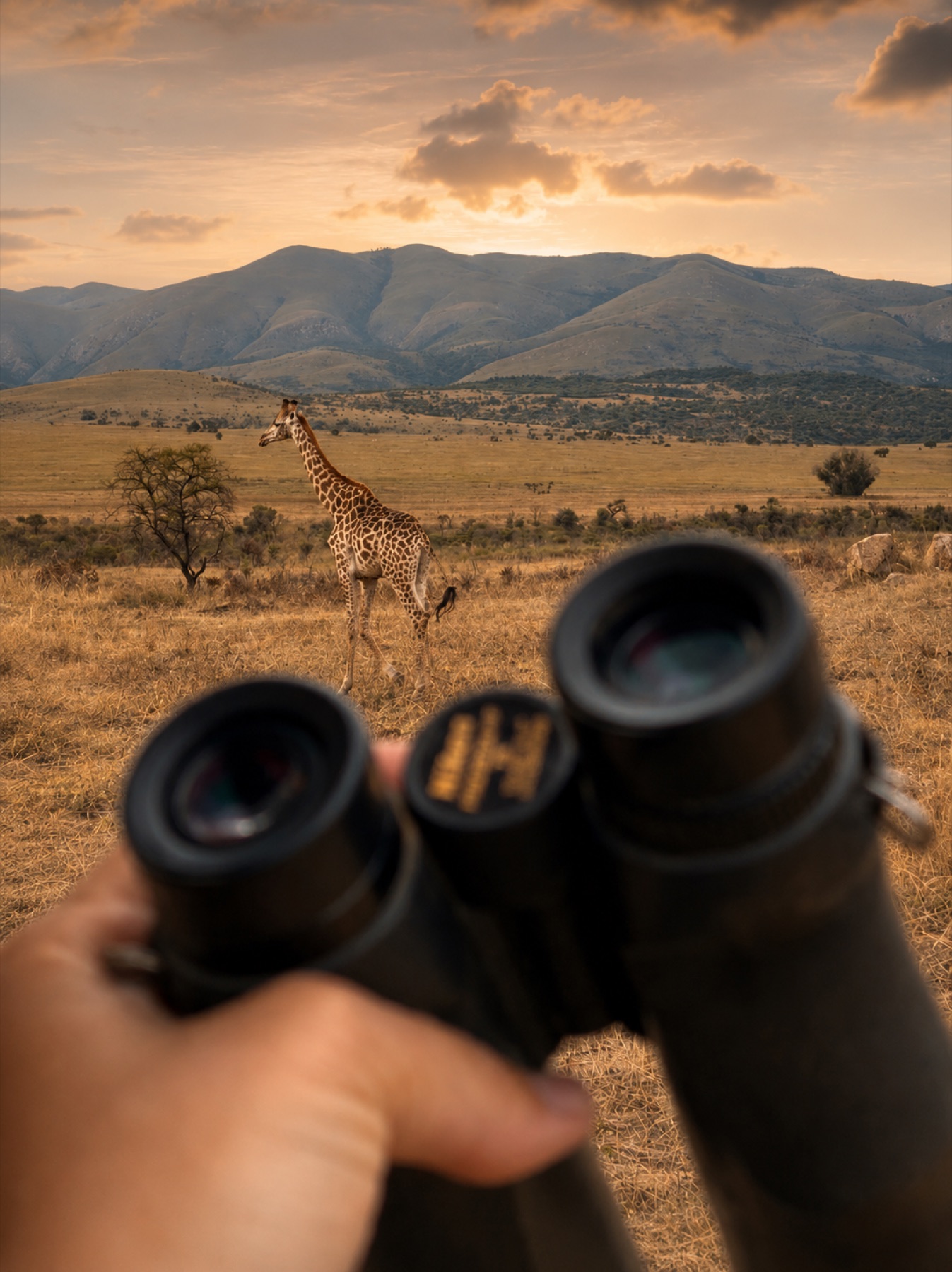 Guest experience content example 11