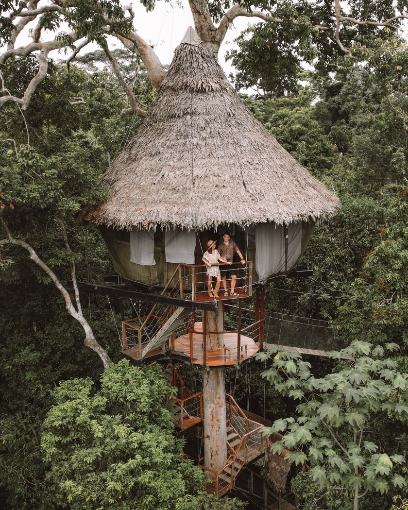 Treehouse Lodge